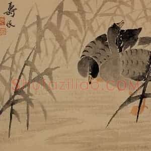 1739年 边寿民《芦雁花卉册》国画花鸟写意作品图片赏析