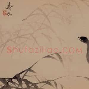 1739年 边寿民《芦雁花卉册》国画花鸟写意作品图片赏析