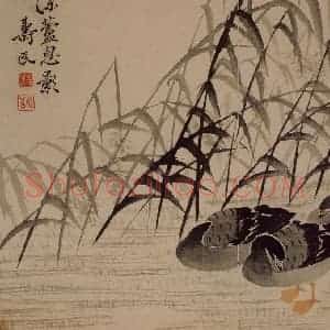 1743年 边寿民《杂画册》国画花鸟写意作品图片赏析