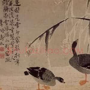 1743年 边寿民《杂画册》国画花鸟写意作品图片赏析