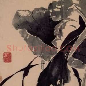 1743年 边寿民《杂画册》国画花鸟写意作品图片赏析