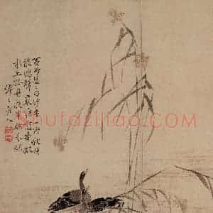 1748年 边寿民《芦雁图册》国画花鸟写意作品图片赏析