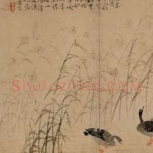 1748年 边寿民《芦雁图册》国画花鸟写意作品图片赏析