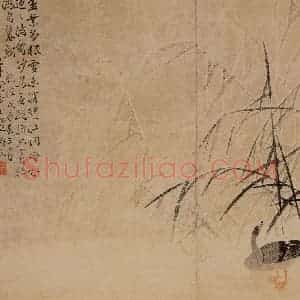 1748年 边寿民《芦雁图册》国画花鸟写意作品图片赏析