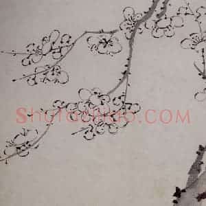 清代 罗聘《梅花册》国画花鸟作品图片赏析