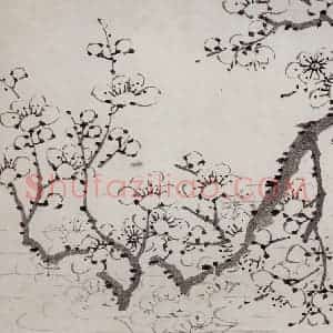 清代 罗聘《梅花册》国画花鸟作品图片赏析