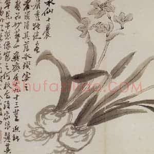 清代 罗聘《花卉册十二开》国画花鸟作品图片赏析