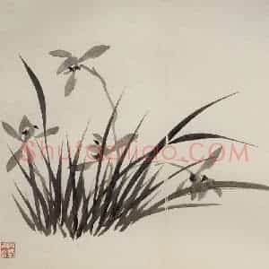 清代 罗聘《兰竹石图册》国画花鸟作品图片赏析