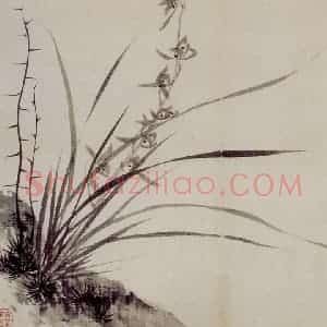 清代 罗聘《师弟合璧册》国画花鸟作品图片赏析
