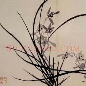 清代 罗聘《兰花册》国画花鸟作品图片赏析