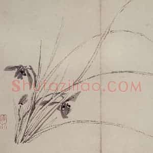 清代 罗聘《兰花册》国画花鸟作品图片赏析