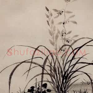 清代 罗聘《兰竹图册》国画花鸟作品图片赏析