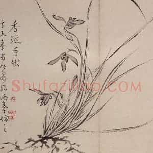 清代 罗聘《兰花册》国画花鸟作品图片赏析