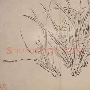 清代 罗聘《兰花册》国画花鸟作品图片赏析