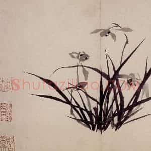 清代 罗聘《兰花册》国画花鸟作品图片赏析