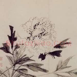 清代 罗聘《师弟合璧册》国画花鸟作品图片赏析