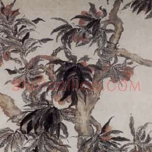 清代 罗聘《荔枝图》国画花鸟作品图片赏析