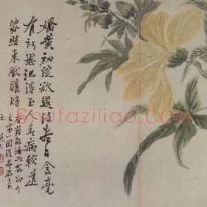 清代 罗聘《花卉册十二开》国画花鸟作品图片赏析