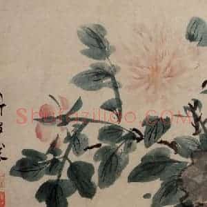 明代 陈淳《洛阳春色书画卷》国画花鸟作品图片赏析