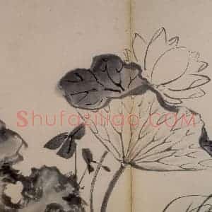 明代 陈淳《书画册》国画花鸟作品图片赏析