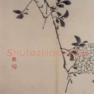 明代 陈淳《书画册》国画花鸟作品图片赏析