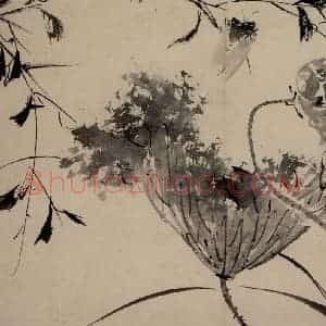明代 陈淳《花卉图》国画花鸟作品图片赏析
