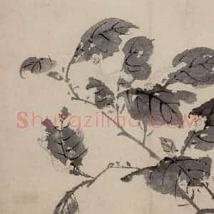 明代 陈淳《花卉图》国画花鸟作品图片赏析