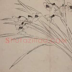 明代 陈淳《花卉图》国画花鸟作品图片赏析