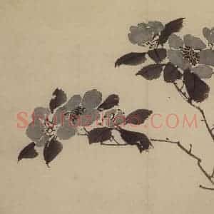明代 陈淳《花卉图》国画花鸟作品图片赏析