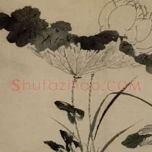 明代 陈淳《花卉图》国画花鸟作品图片赏析