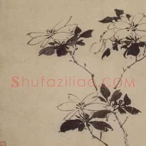 明代 陈淳《花卉图》国画花鸟作品图片赏析