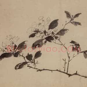 明代 陈淳《花卉图》国画花鸟作品图片赏析