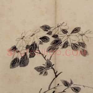 明代 陈淳《花卉册》国画花鸟作品图片赏析