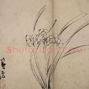 明代 陈淳《花卉册》国画花鸟作品图片赏析
