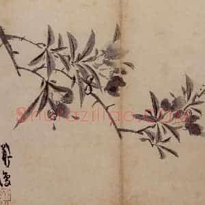 明代 陈淳《花卉册》国画花鸟作品图片赏析