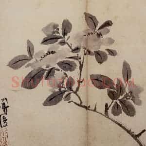明代 陈淳《花卉册》国画花鸟作品图片赏析