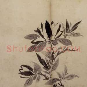 明代 陈淳《花卉册》国画花鸟作品图片赏析