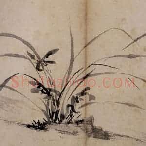 明代 陈淳《花卉册》国画花鸟作品图片赏析