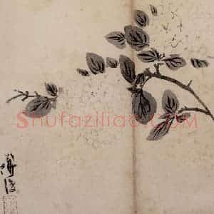 明代 陈淳《花卉册》国画花鸟作品图片赏析