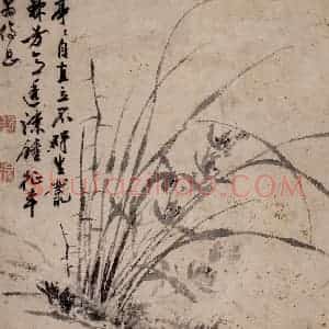 明代 陈淳《兰花图》国画花鸟作品图片赏析