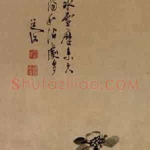 明代 陈淳《山茶水仙图》国画花鸟作品图片赏析