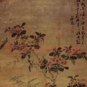 明代 陈淳《山茶竹石图》国画花鸟作品图片赏析
