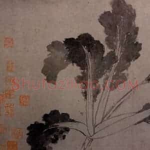 沈周《墨莱辛夷图》国画花鸟写意作品图片赏析