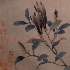 沈周《墨莱辛夷图》国画花鸟写意作品图片赏析
