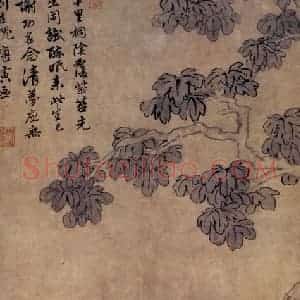 约弘治年间30余岁 唐寅《桐荫清梦图》国画综合工笔作品图片赏析