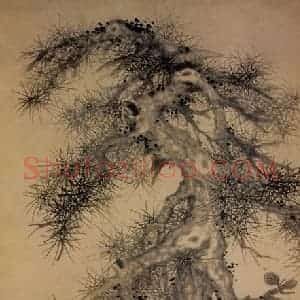 1480年 沈周《松石图》国画山水写意作品图片赏析