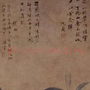 沈周《枇杷图》国画花鸟写意作品图片赏析