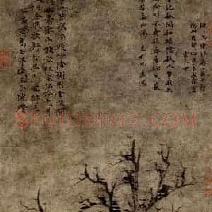 元朝 倪瓒《苔痕树影图》国画花鸟作品图片赏析
