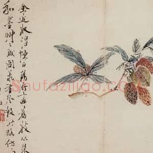 清代 高凤翰《花卉册十开》国画花鸟作品图片赏析
