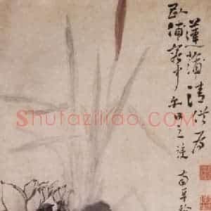 清代 高凤翰《莲浦清供图》国画花鸟作品图片赏析